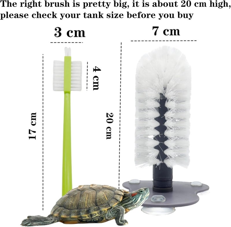 Odebyata Turtle Brush with Strong Suction Cup,Turtle Back Clean Brush to Remove Mud Dirt,Turtle Owners Lovers Accessories for Turtle Tank Turtle Habitat, Turtle Shell Clean Brush Tools - Image 2